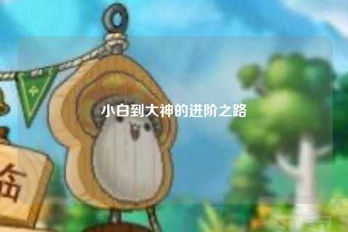 小白到大神的進(jìn)階之路