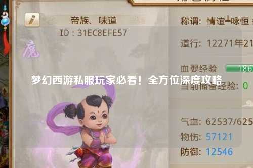 夢幻西游私服玩家必看！全方位深度攻略