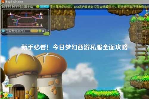 新手必看！今日夢(mèng)幻西游私服全面攻略
