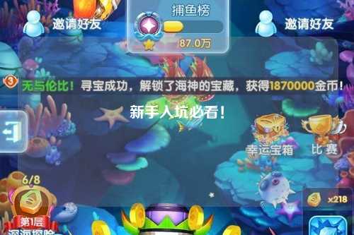 新手入坑必看！