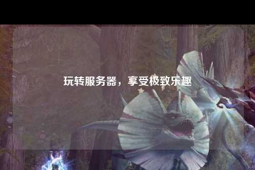 玩轉(zhuǎn)服務(wù)器，享受極致樂趣
