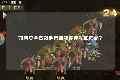 如何安全高效地選擇和使用私服網(wǎng)站？