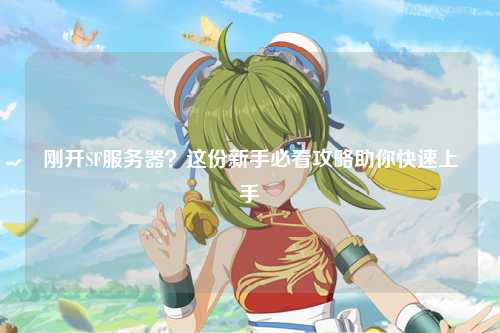 剛開SF服務(wù)器？這份新手必看攻略助你快速上手