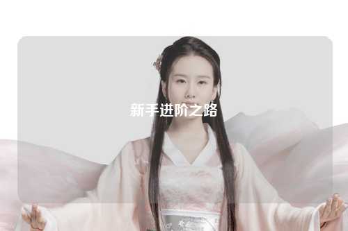 新手進階之路
