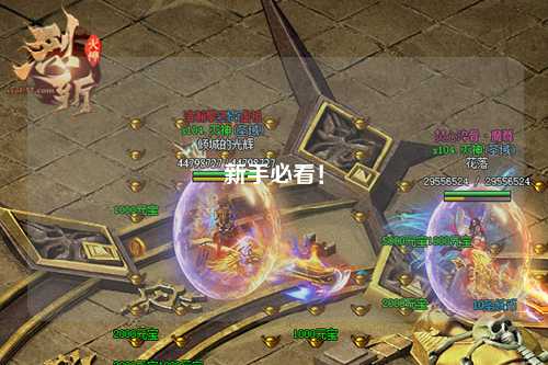 新手必看！