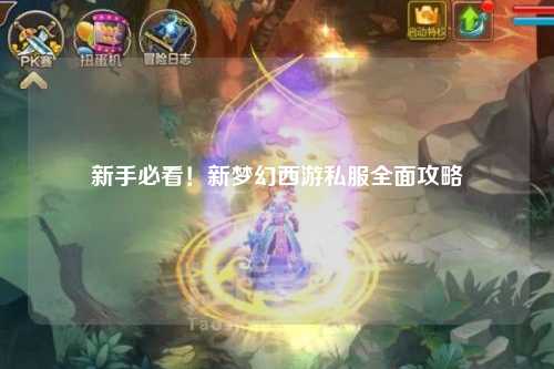 新手必看！新夢幻西游私服全面攻略