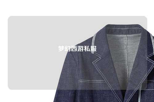 夢幻西游私服