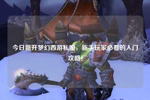 今日新開夢(mèng)幻西游私服，新手玩家必看的入門攻略！